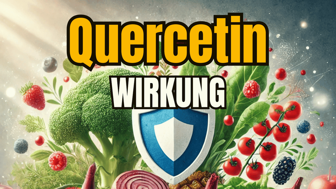 Quercetin Wirkung im Fokus: Gesundheit & Sicherheit