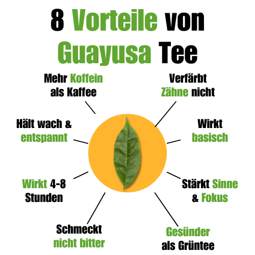 Guayusa Tee – Ginger-Guard