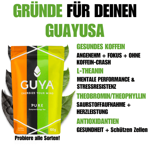 Limitless-Powder – 100% Guayusa Extrakt-Konzentrat - GUYA - Guayusa GmbH