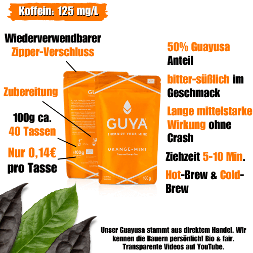 Bio Guayusa Tee – Orange-Mint - GUYA - Guayusa GmbH