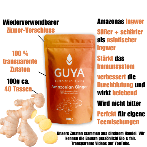 Ingwer Tee – Amazonian Ginger - GUYA - Guayusa GmbH