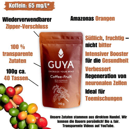 Kaffeekirsche – Kaffee-Frucht Tee - GUYA - Guayusa GmbH