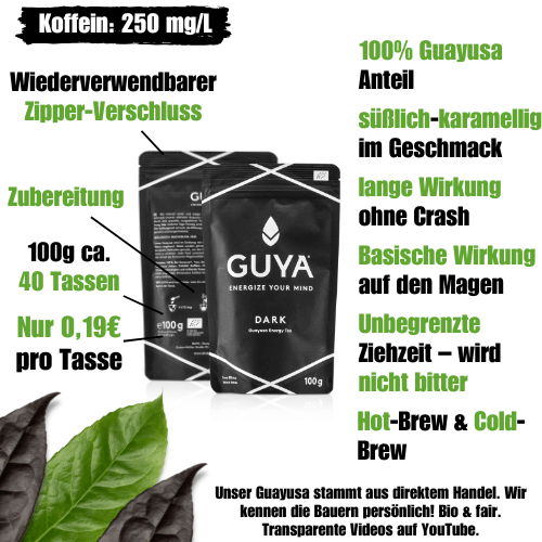 Bio Guayusa Tee – Dark